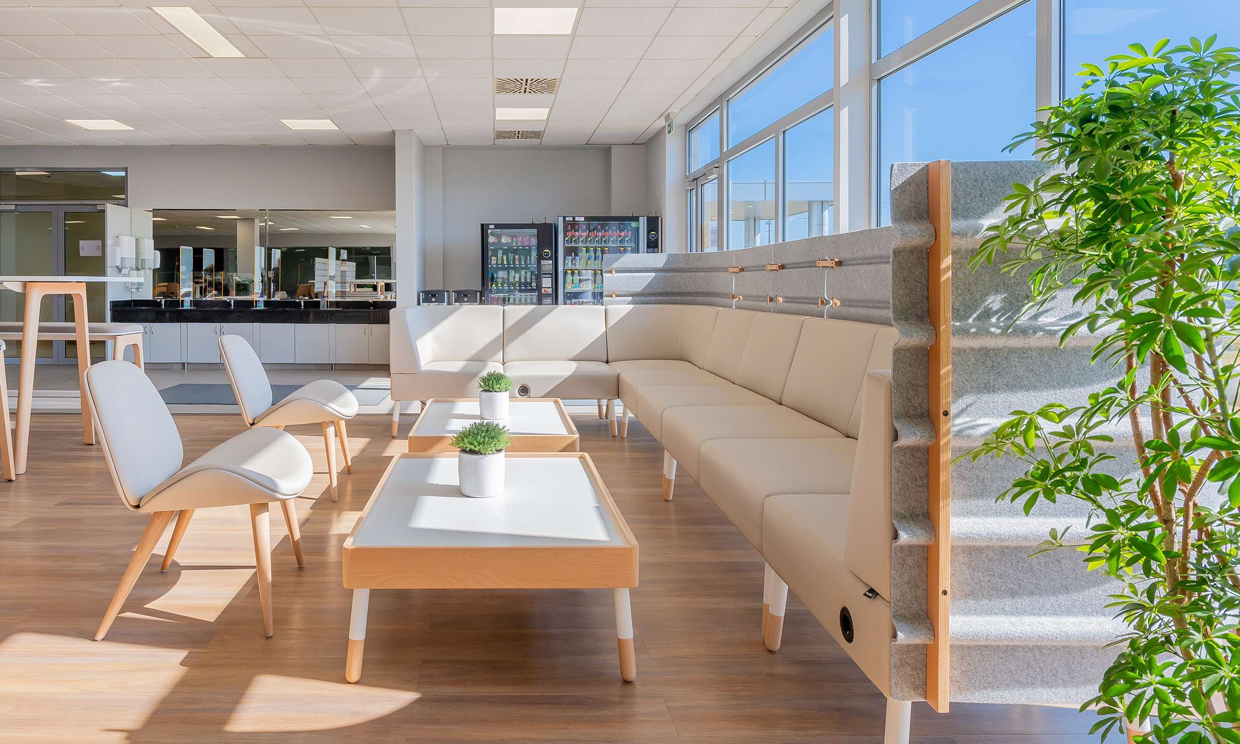 Best Office Reception Interiors